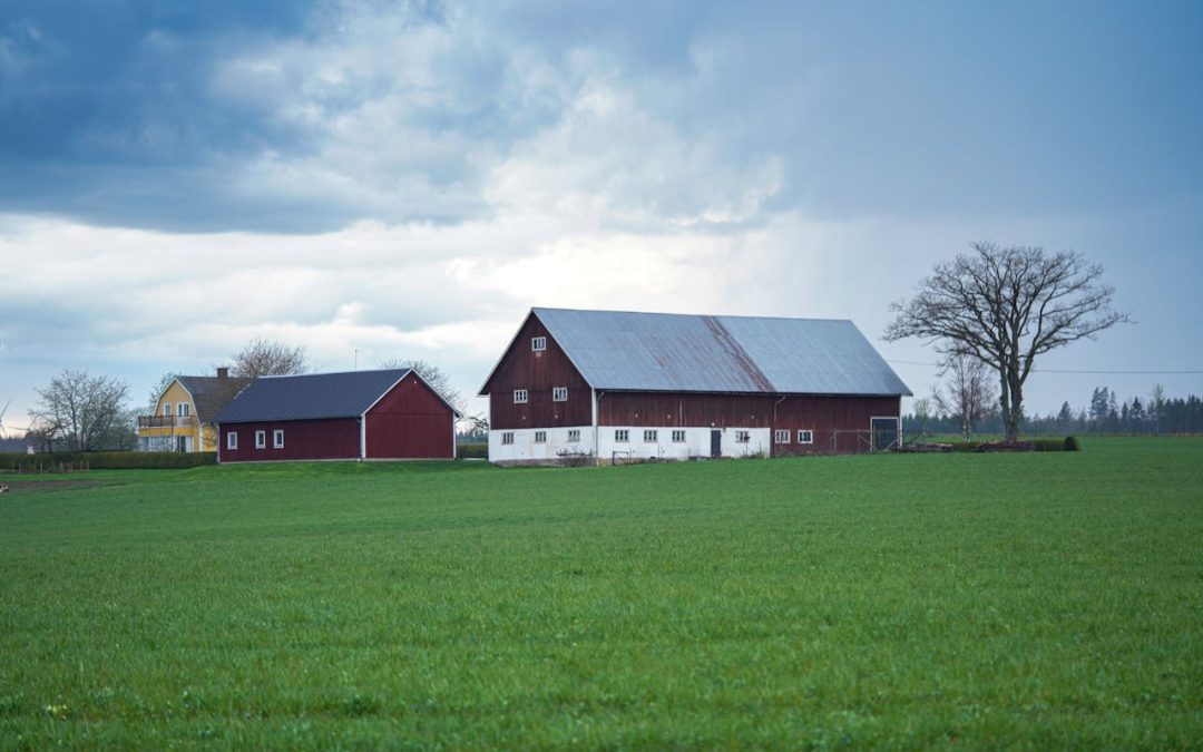 Hur ofta behöver man renovera fasaden?