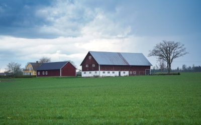 Hur ofta behöver man renovera fasaden?